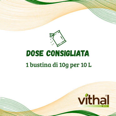 Lepinox® Plus Bacillus Thuringiensis - Zapi