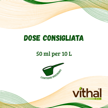 Blackjak® Vithal Bio – Energia Pura per il Suolo e le Tue Piante