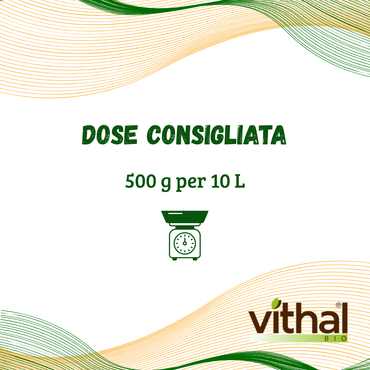 Caolino Vithal Bio – Difesa Naturale per Piante più Forti e Protette