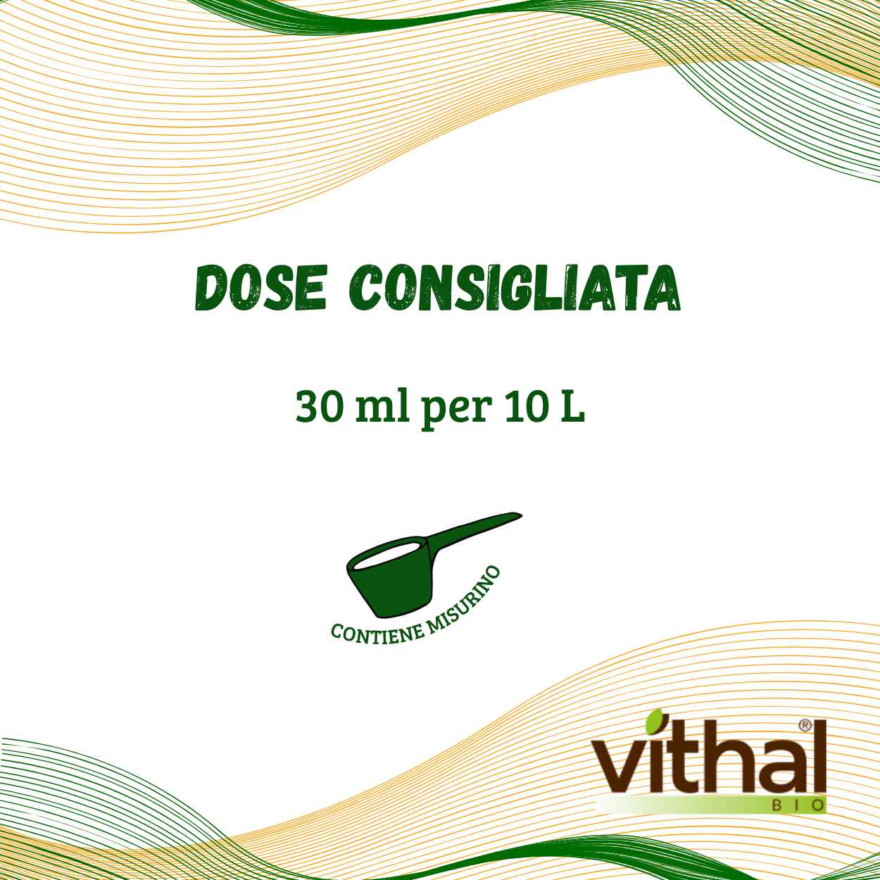 Equisetum Arvense L. Vithal Bio- Protezione contro le Malattie Funginee