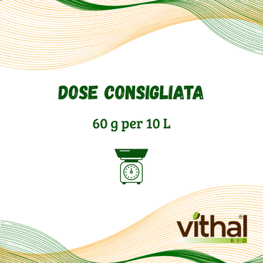 Zeolite Vithal Bio – Protezione Naturale contro Funghi, Scottature e Insetti