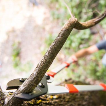 Troncarami Telescopico Stocker