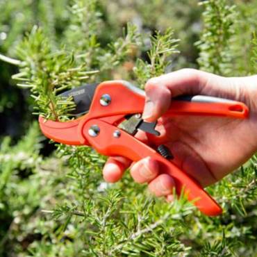 Forbice a cricchetto 17 - Stocker