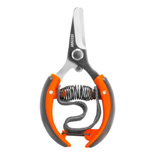 Forbice Stocker per Agrumi 10 cm – Lama Curva e Cinghia in Pelle