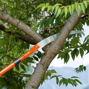 Lama di ricambio Seghetto Falco 43 - Stocker