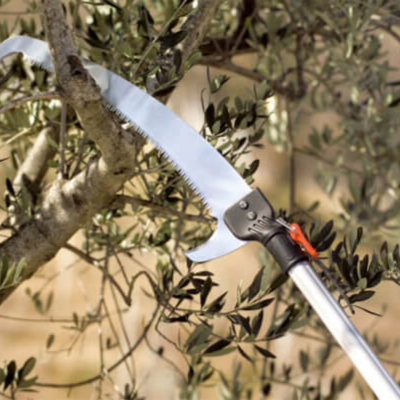 Seghetto Falco 43 Combisystem - Stocker