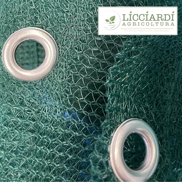 Rete per raccolta olive antispina 5x10 mt - 85g/mq