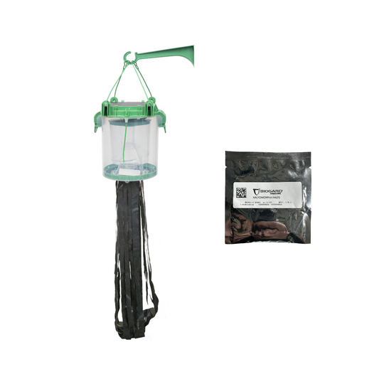 Trappola Cimice Asiatica Shindo Trap con Feromone