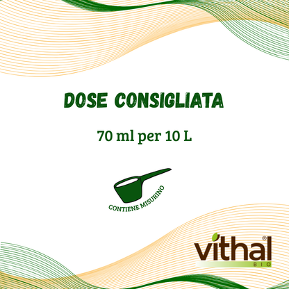 Sapone Molle Super K Plus Vithal Bio – per Foglie Sane e Protette