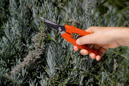Forbice Milleusi SNAP - Stocker