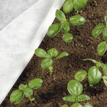 Tessuto Non Tessuto Invernale 2x20 m 30g/mq