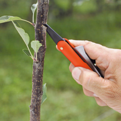 Coltello da innesto 55 - Stocker