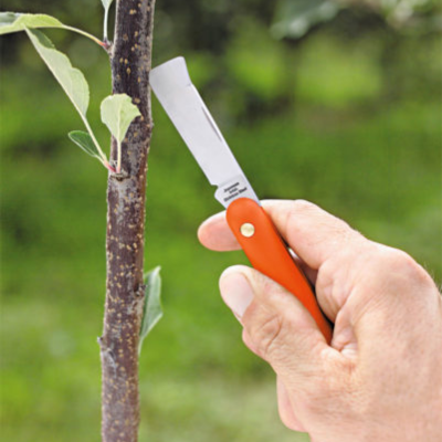 Coltello da innesto 55 - Stocker