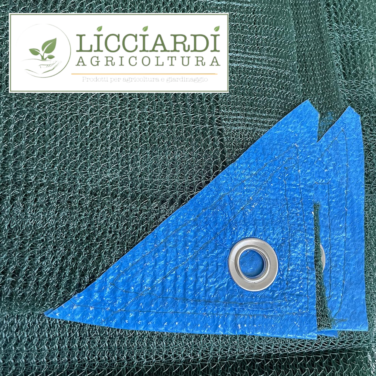 Rete per raccolta olive antispina 4x8 mt - 85g/mq