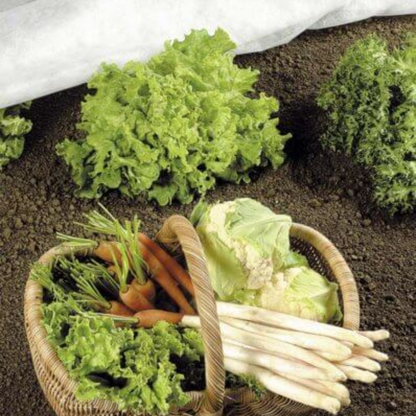 Tessuto Non Tessuto Invernale 2x20 m 30g/mq