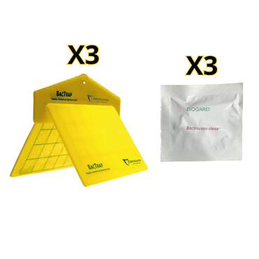 Bac-Trap Trappola Mosca dell’Olivo – 3 Pezzi